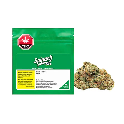 SPINACH - Blue Dream 3.5G Main Image