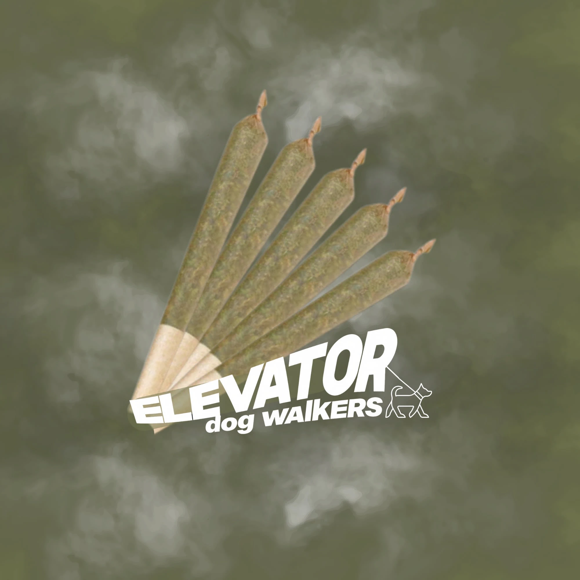 Elevator - Hybrid Dog Walkers Pre-Rolls 10 x 0.25g Main Image