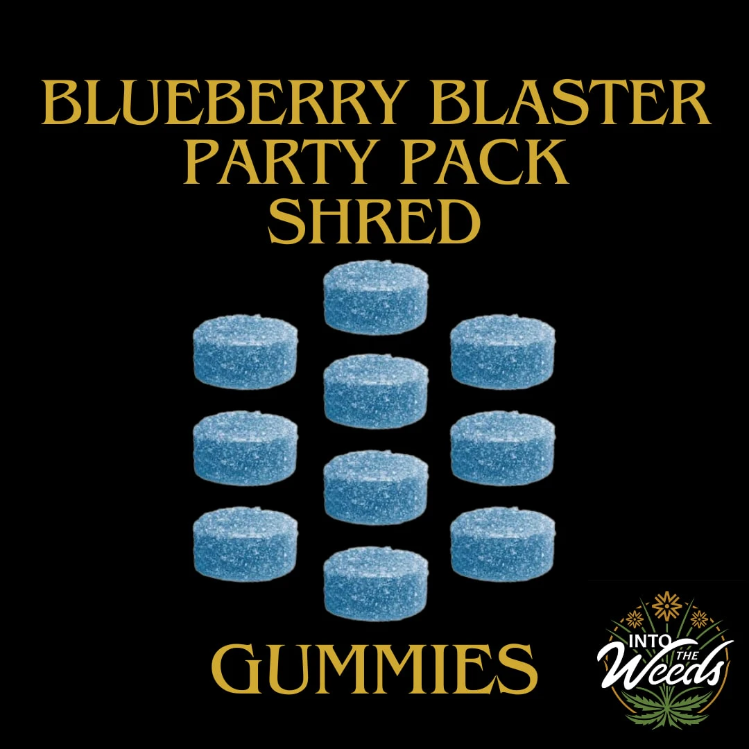 SHRED - Blueberry Blaster Party Pack - 10 x 10mg Main Image