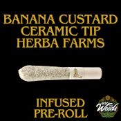 Banana Custard - 1 x 1g