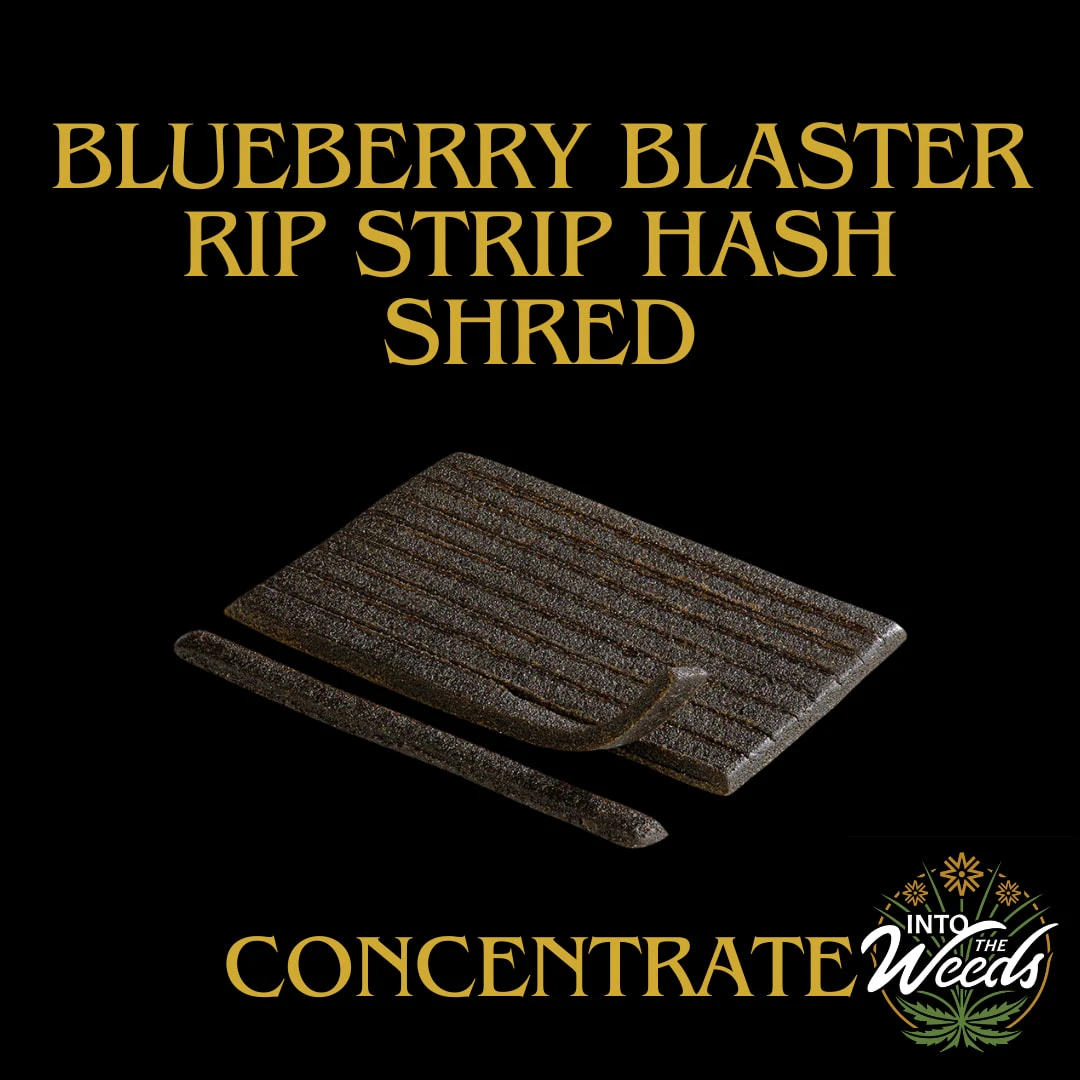 SHRED - Blueberry Blaster Rip Strip Hash - 2g Main Image