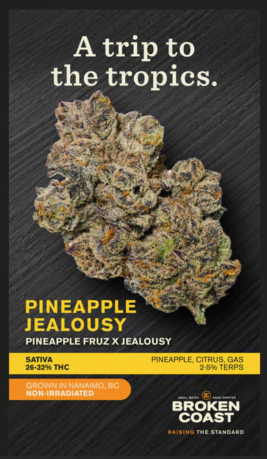 Broken Coast - Pineapple Jealousy 7g Dried Flower by Broken Coast Main Image