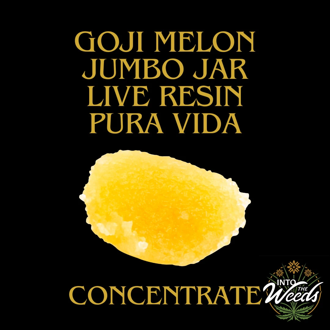 PURA VIDA - Goji Melon Jumbo Jar Live Resin - 1.2g Main Image