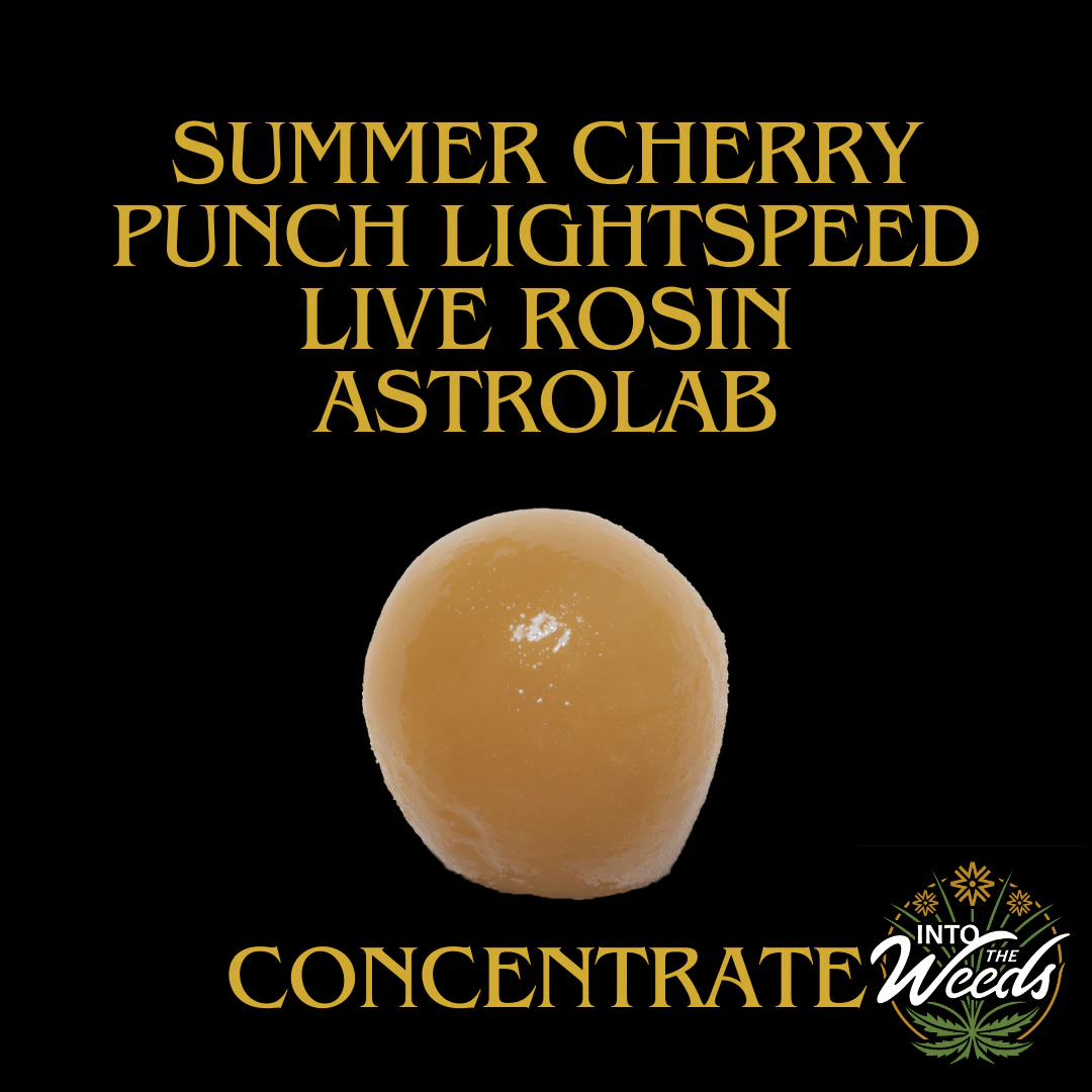 ASTROLAB - Summer Cherry Punch Lightspeed Live Rosin - 1g Main Image