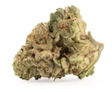 CRAFT SMALLS DRIED FLOWER 28G