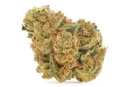 Archive 3.5g Flower