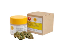 Balance 3.5g Dried Flower