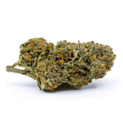 Wappa [3.5g Traditional Flower] by Redecan
