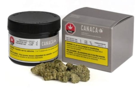 HIGH PARK FARMS - Jean Guy 15g Dried Flower