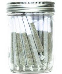 Shred - TROPIC THUNDER J'S PRE-ROLLS - 7