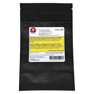 2589991 ONTARIO INC. (d.b.a. SESS Holdings) - K Tuts (AK-47)