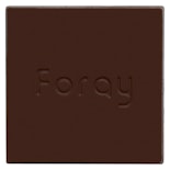 Foray Salted Caramel 1x10g Chocolate