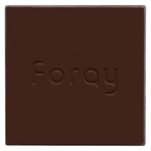 Foray - Foray Salted Caramel 1x10g Chocolate
