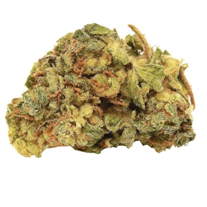 Bonify Holdings Corporation - Mazar  by Bonify