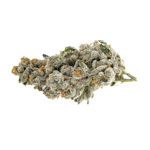 Atlanticann Medical Inc - White Wedding (Girl Scout Cookies x Wedding Cake)