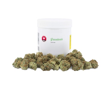 Sundial Growers Inc. - Grasslands- Sundial Growers Inc.