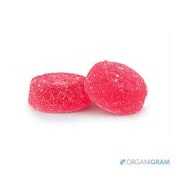 SOUR CHERRY PUNCH - 2 PACK