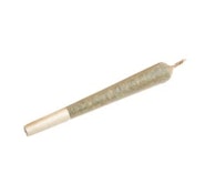 0.5G - WATERMELON GUSHERS PRE-ROLL