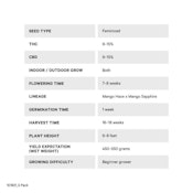 Mango CBD 1:1 Seeds (Feminized) 5 Pack - 34 Street Seed Co.