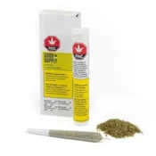 Monkey Glue [1x1g Pre-Rolls] by Good Supply