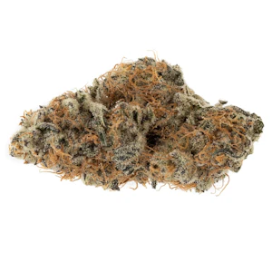 OGEN - Dosi GMOsi #13