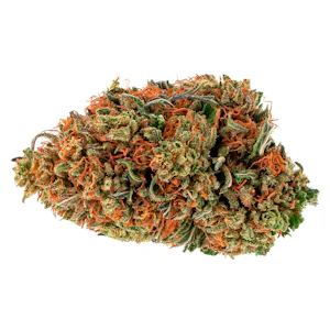 TENZO - Tenzo - Avalanche