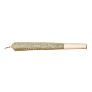 Zest Cannabis - Zest - Orange Kush Shatter Infused Pre-Roll