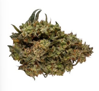 Orchid CBD - 3.5G - CBD RUNTZ