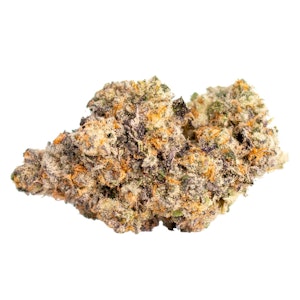 BLK MKT - Lee Anne WoMac - BLK MKT