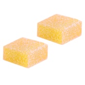 PORT NORTH - Lemon Z Rosin - Strain Specific Full Spectrum Solventless Soft Chews - 2 Pack
