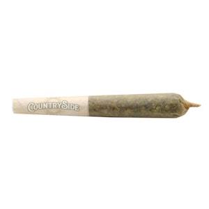 Countryside Cannabis - Honey Oil infused Pre-Roll 3x0.5g Resin