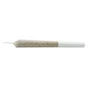 ROLL'N GOLD - THC INFUSED PRE-ROLL 1x0.5g Isolates - Sativa