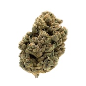 MTL Cannabis - Jungl' Cake - Sativa - 3.5g
