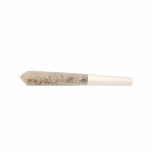 Buzz'd - Infused Stingerz Pre-Roll 2x0.5g
