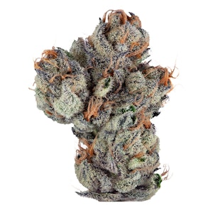 Steel City Green - Intense