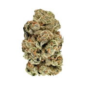 KUSH COOKIES - 28