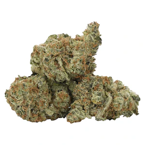 -ness - Bermuda Sour 7G- -ness - Dried Flower
