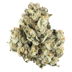 Potluck - Maple Pancakes 7g Dried Flower