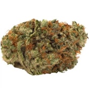 14G - SLOW LANE INDICA