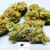 GSC PLATINUM - 3.5