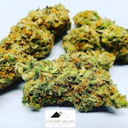 GSC PLATINUM - 3.5