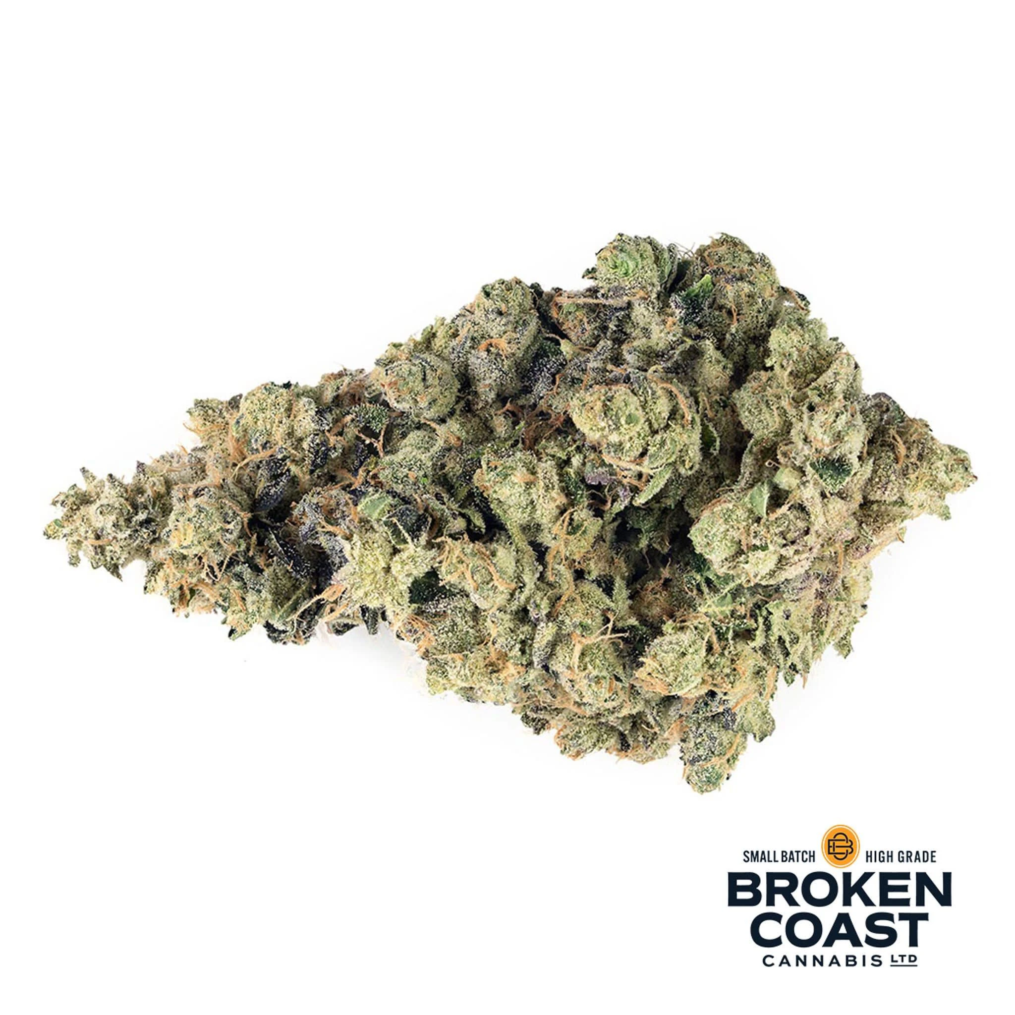 Broken Coast Cannabis - Sour OG (Ruxton) 1g Dried Flower Main Image