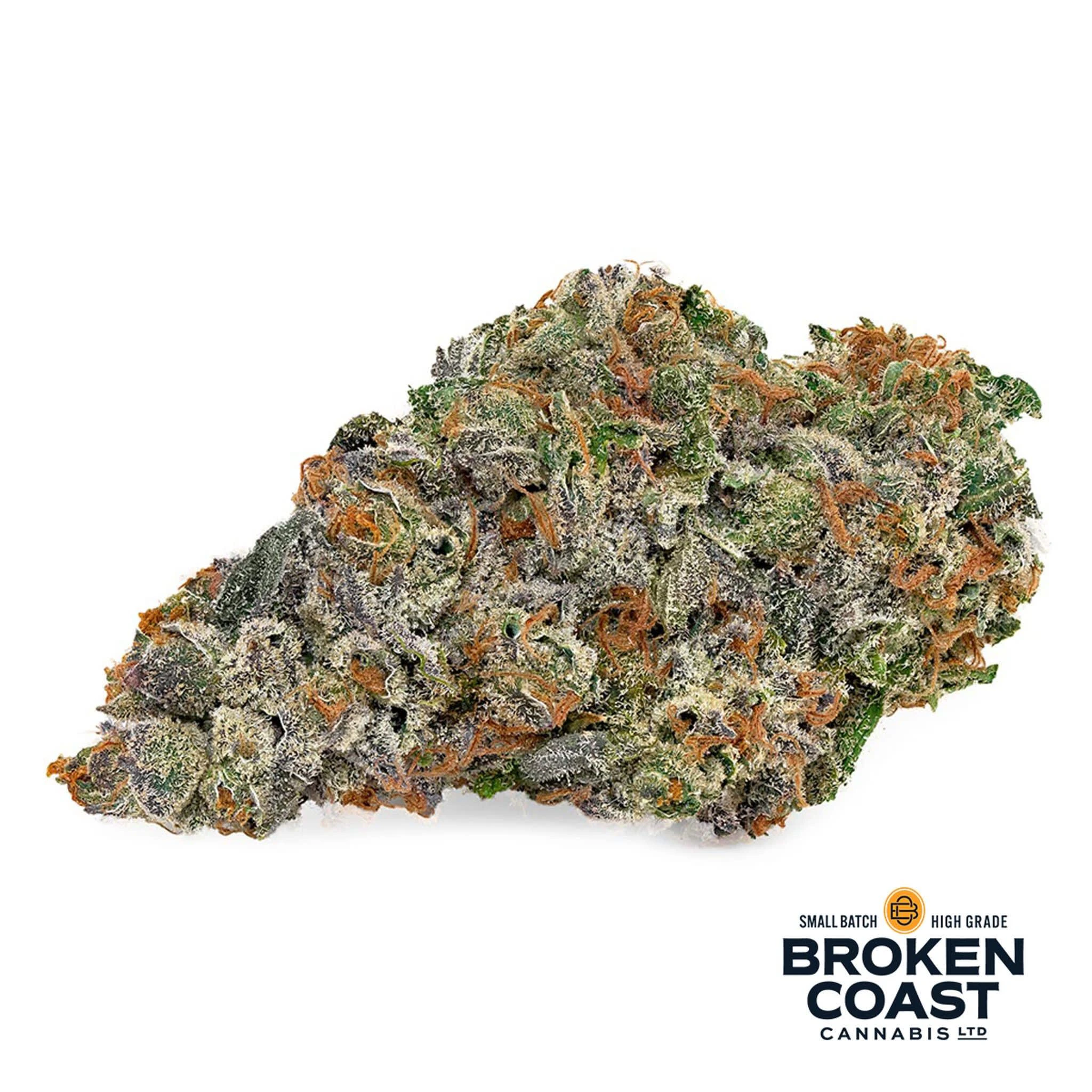 Broken Coast Cannabis - Northern Lights Haze (Galiano) 3.5g Dried Flower Main Image
