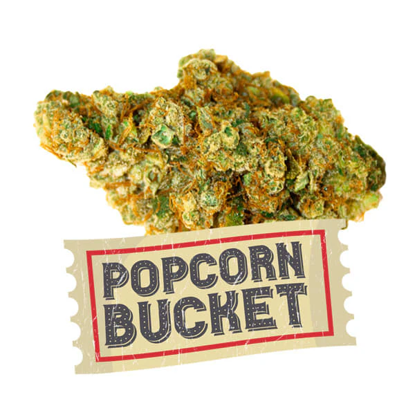Kief Cannabis Company - DRIVE IN 28G Main Image