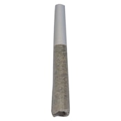 Terp N' Tine 1 x 0.5g Pre-Rolls