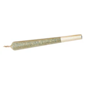 Queen SanG Pre-Roll [1x1g Pre-Rolls] by REEF ORGANIC