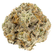 Atlantic Glue [7g Craft Flower] by Reef Organic