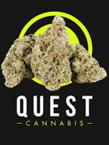 Qwest - Apple Mac 3.5g Dried Flower