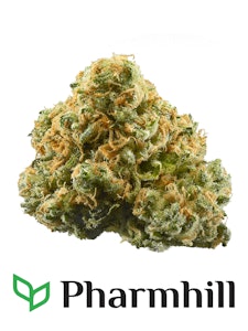 Universe Cannabis - Pineapple Express 7g Dried Flower