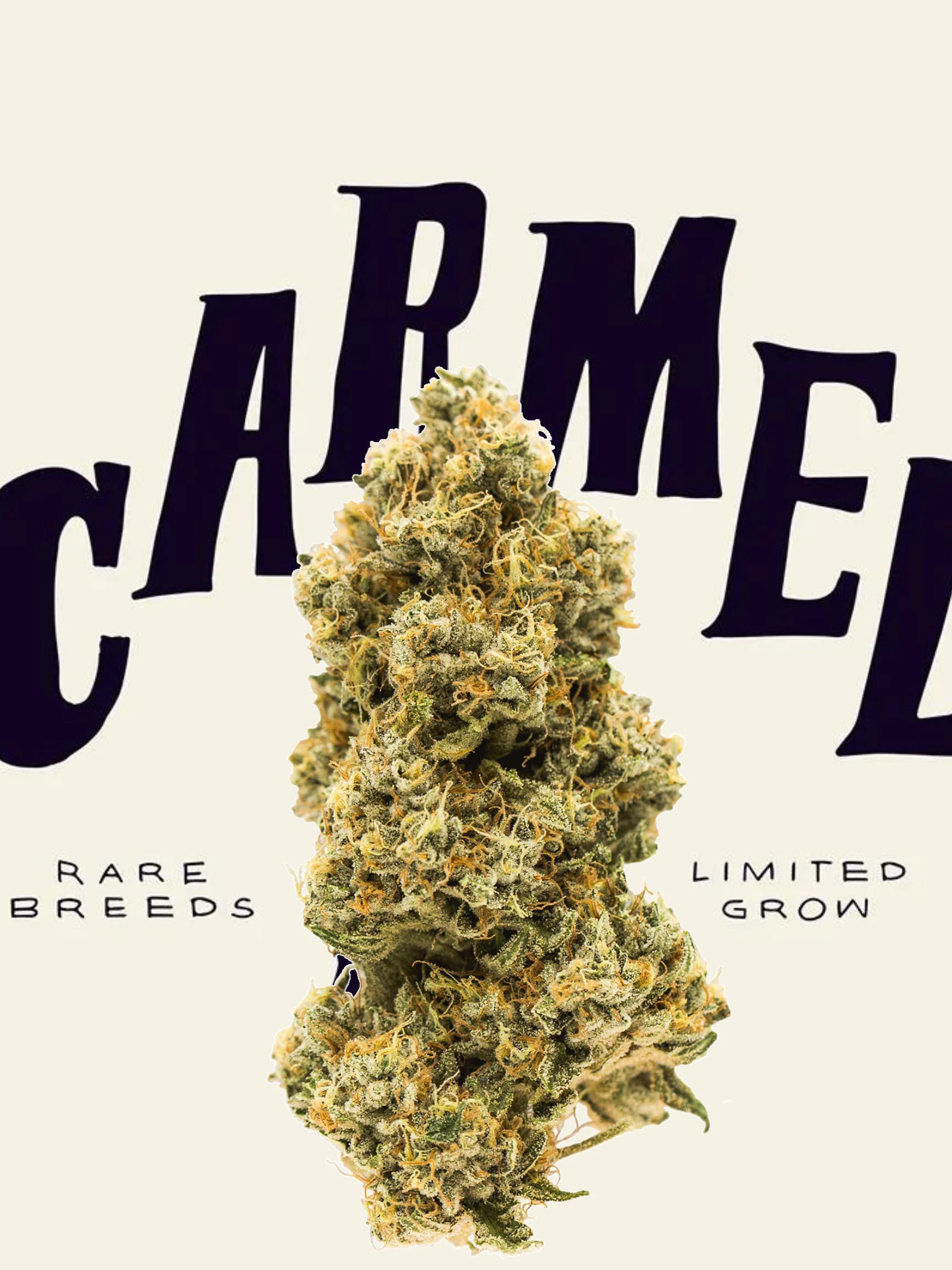 CannaCannabis - Peanut Butter Breath 3.5g Dried Flower Main Image